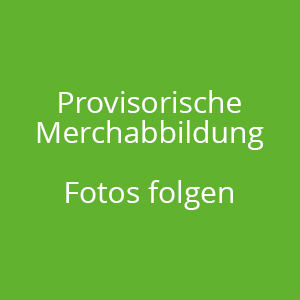 Merch 1